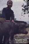 Boy on water buffalo in Tong'an Amoy 1949