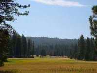 Hume Lake Meadow Sierra Nevadas