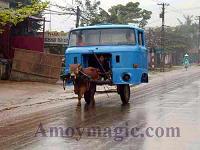 A one cow-power truck!