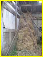 Hay piled up against one of the walls with political cartoons