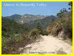 1 km of dirt road -- last stretch to the butterfly valley of Tong'an